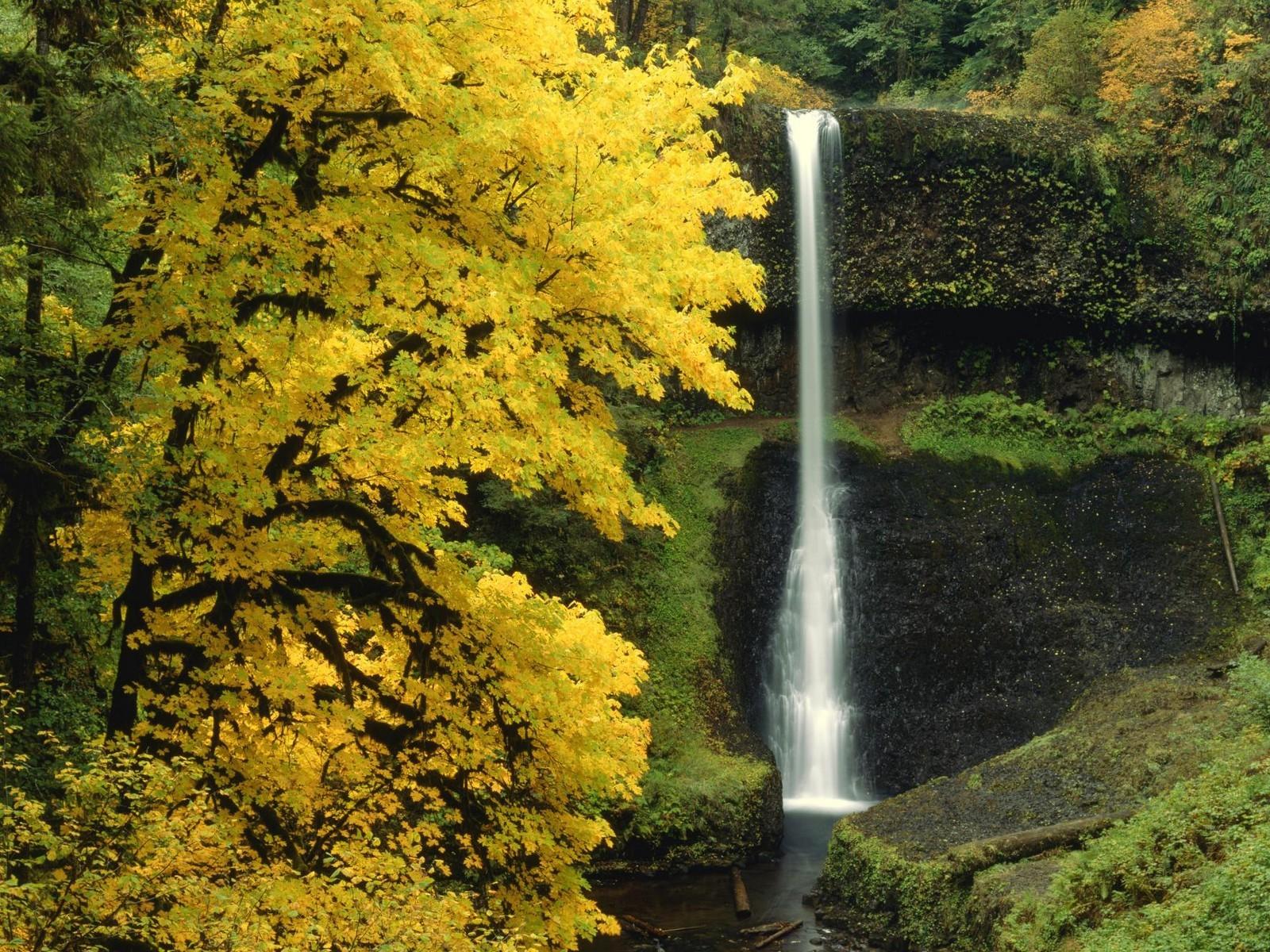 Обои Водопад в Орегоне 1600x1200
