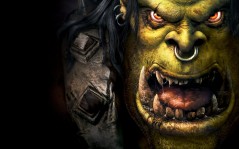 Warcraft III / 1680x1050