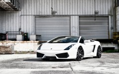White Lamborghini Gallardo / 2560x1600