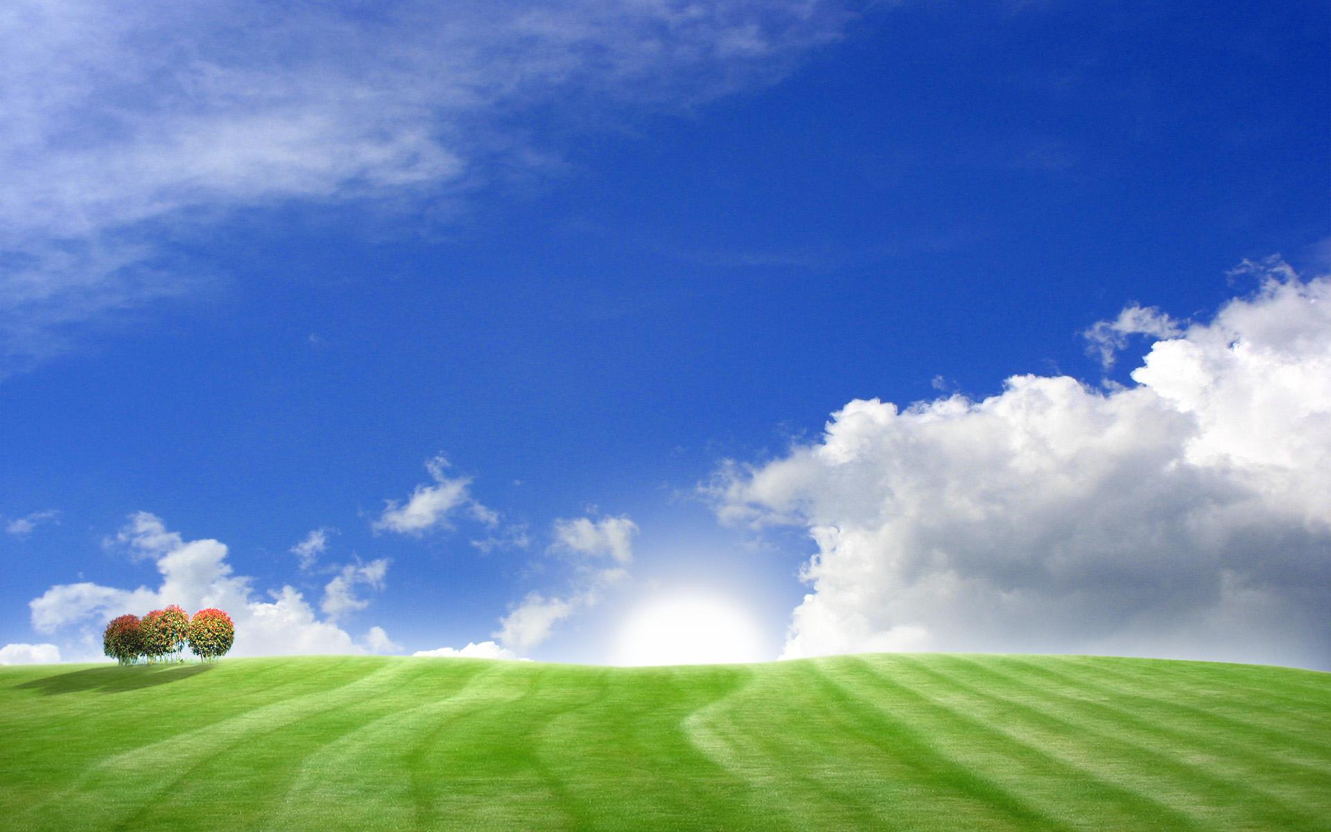 Обои Зеленое поле и голубое небо 1920x1200