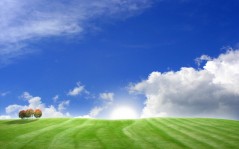 Зеленое поле и голубое небо / 1920x1200