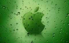 Зеленое яблоко Apple / 1920x1200