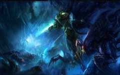   , Starcraft 2 / 1920x1080