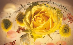 Жёлтая роза с украшениями / 1920x1200